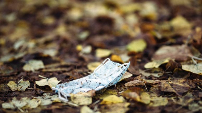 Masque facial d'occasion