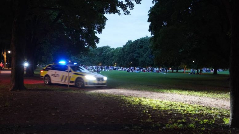 Fête du parc Frogner