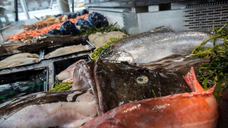 Fruits de mer - poisson