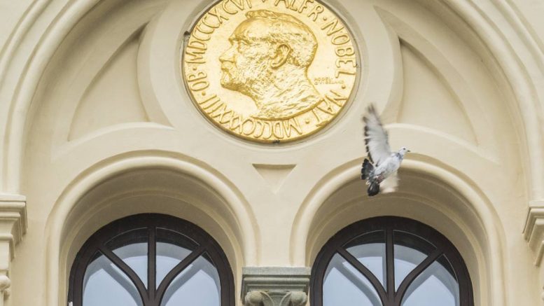 Colombe blanche - Nobel