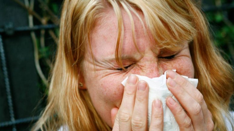 Rhume - grippe - nez qui coule