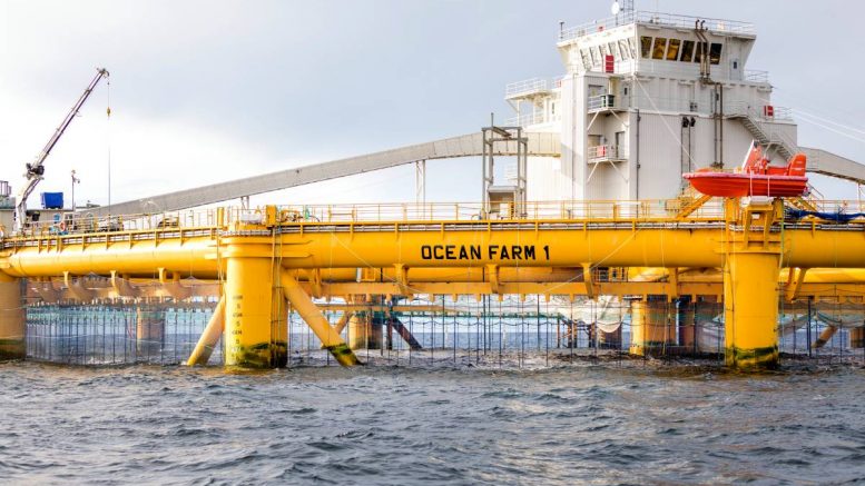 Ferme océanique 1 - Salmar