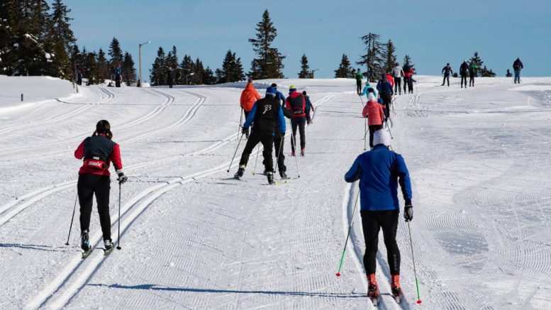 Ski