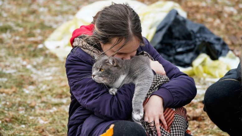 Animal de compagnie ukrainien