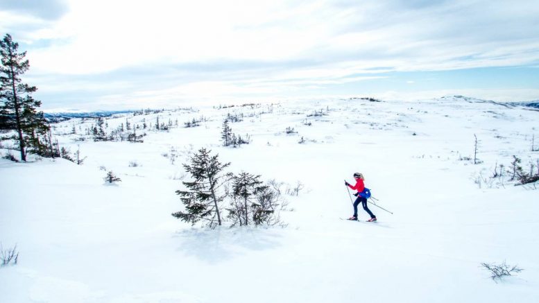 Ski - hiver
