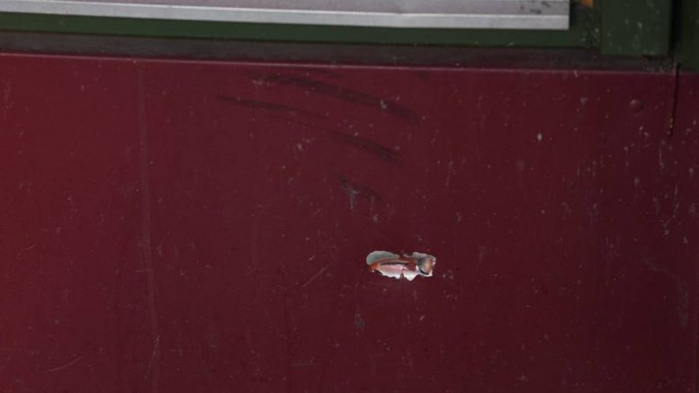 Tournage au Grønland